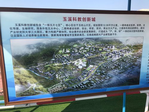 李棋街道人大工委组织部分市,区人大代表视察科教创新城建设工作