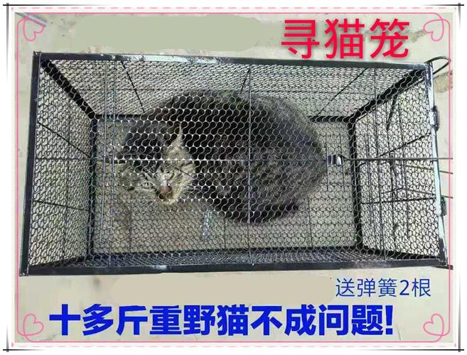 野猫捕猫器全自动大号回归工具自然爱护便携高压志愿