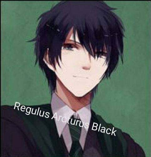 勇气和家人:论regulus black