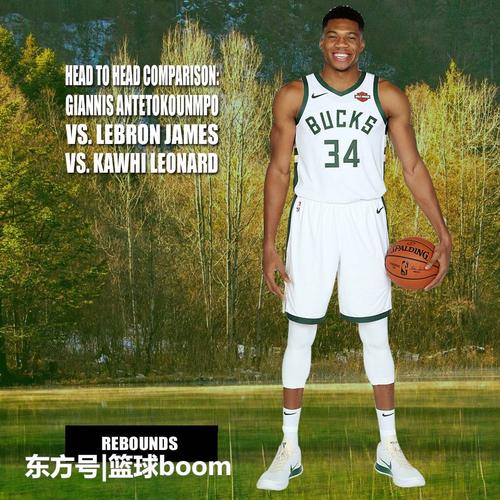 詹姆斯伦纳德字母哥9项数据对比,字母哥5项第1,伦纳德