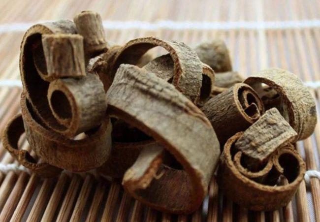 胡博士说中药厚朴治瘟疫的故事为什么说厚朴是化湿药中重要药物之一