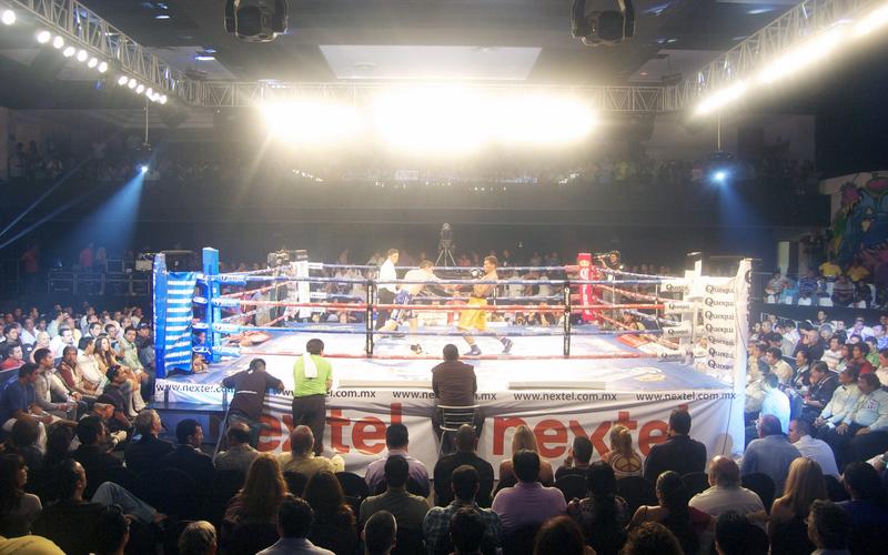 拳击比赛格斗图片-体育壁纸-高清体育图片-第3图-娟娟