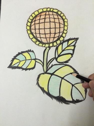 向日葵色铅笔画