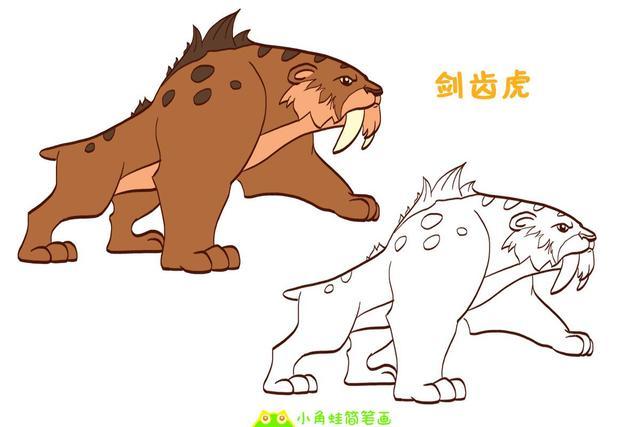 剑齿虎介绍,剑齿虎和老虎简笔画