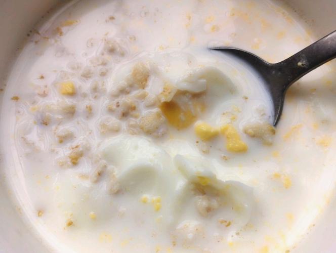 鸡蛋牛奶燕麦粥怎么做_鸡蛋牛奶燕麦粥的做法_豆果美食