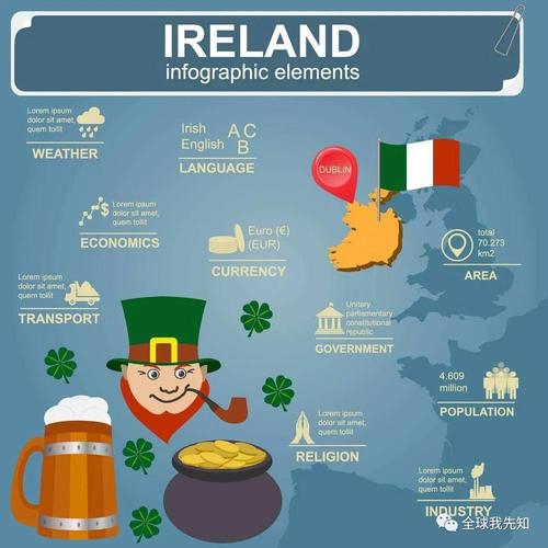 移民爱尔兰,方法不止一种