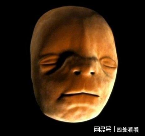 人类面孔如何形成:英国拍摄胎儿面部发育过程