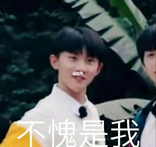 tnt表情包_表情包_时代少年团_表情包分享_素材_表情包