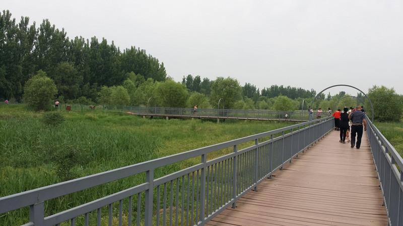 郑州黄河国家湿地公园