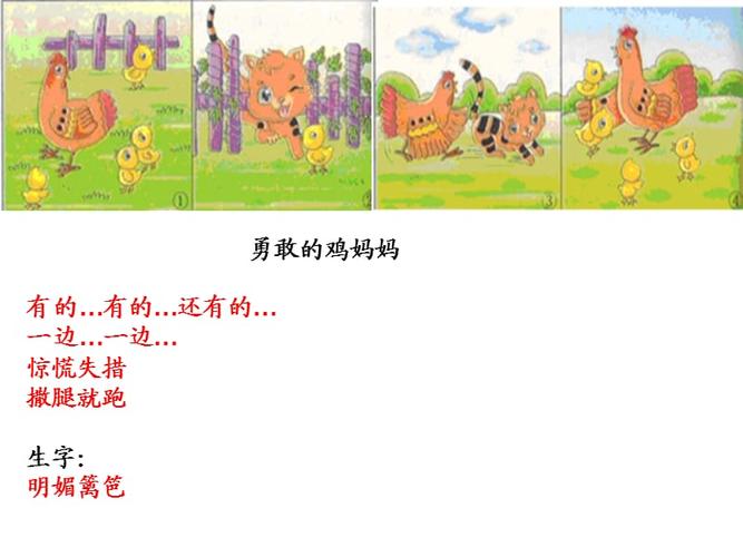 勇敢的鸡妈妈——看图写话.ppt