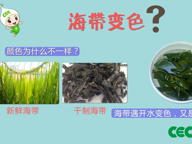 海带