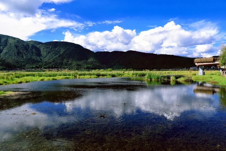 云南腾冲湿地风光
