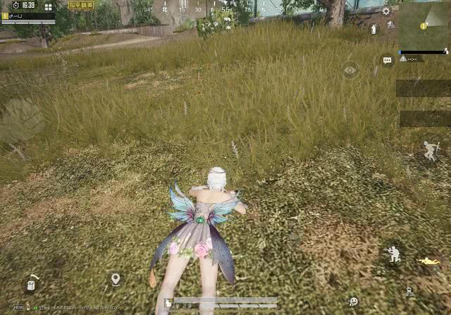 和平精英,吃鸡,刺激战场