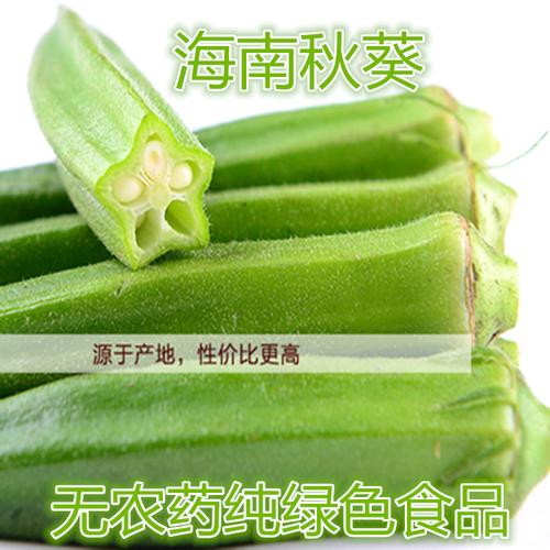 海南新鲜蔬菜水果秋葵 ***有机黄秋葵 羊角豆 批发 一件.
