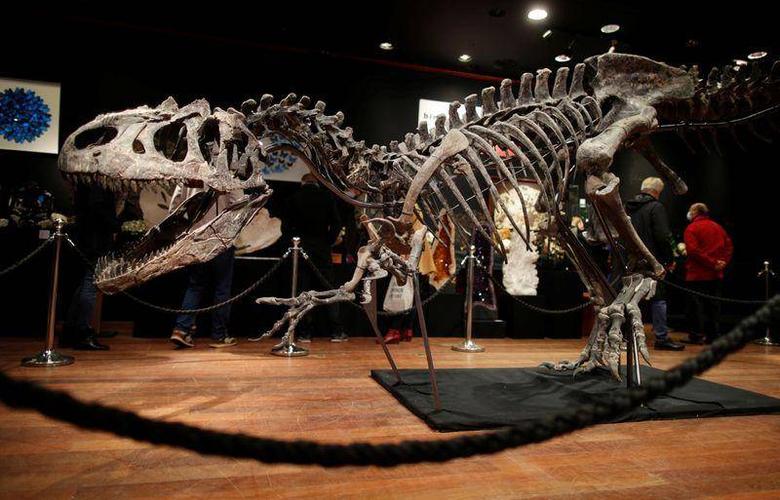 5亿年前恐龙骨架化石,2370万元成交_手机搜狐网