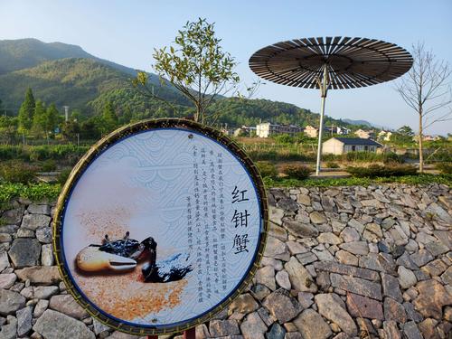 象山花墙村游4