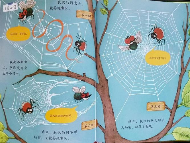 飞燕老师和你一起赏析绘本《蜘蛛日记》