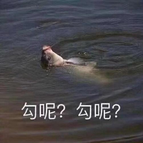勾呢?(鱼:快来钓我呀)