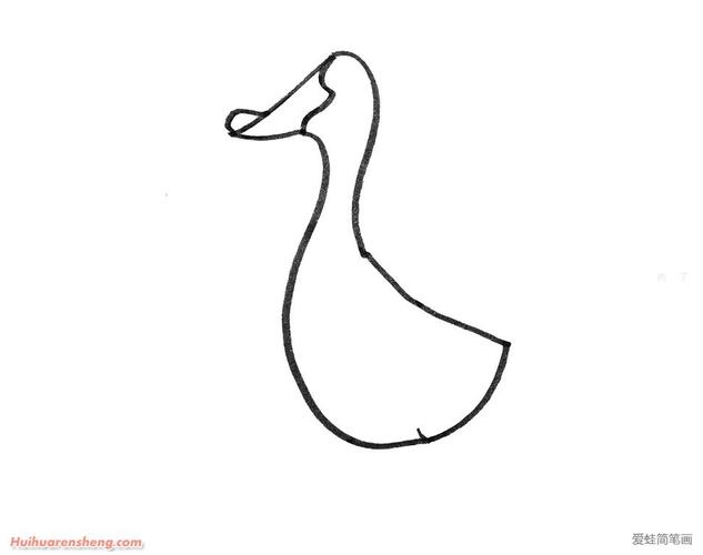 鹅的简笔画