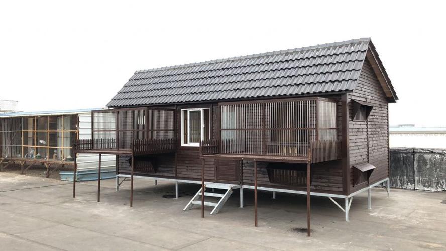 中信网鸽业大全