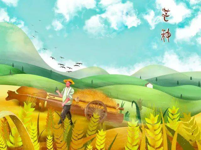 芒种海报配图卡通图片大全简单带字,芒种快乐祝福语问候语句简短