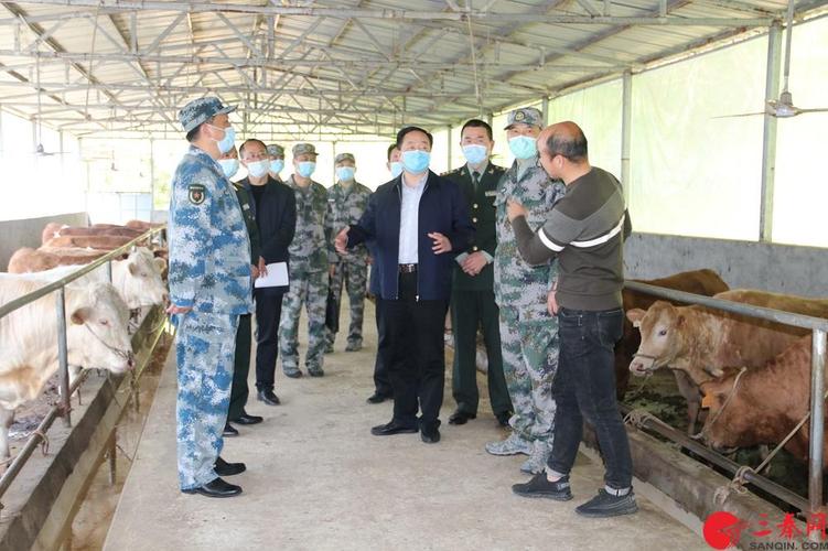 在新冠肺炎疫情防控阻击战中,61090部队提早谋划,迅速行动,及时与地方