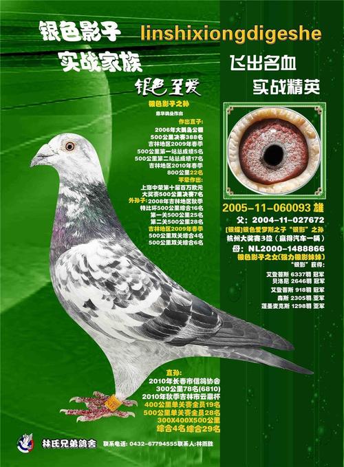 银色影子系列                 银色影子系列
