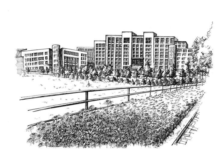 校园一角我熟悉的环境