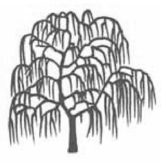 春天,万物复苏,大地一片生机勃勃的景象.