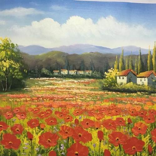 荷兰 郁金香 花田 油画 60*50cm