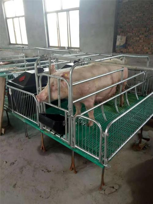 黄石母猪产床定位栏价格优惠