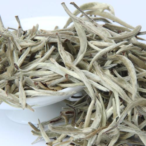月光云南白茶普洱茶美人景谷大白芽白毫银针前头普洱