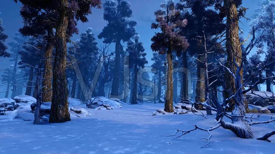 森林雪地穿梭