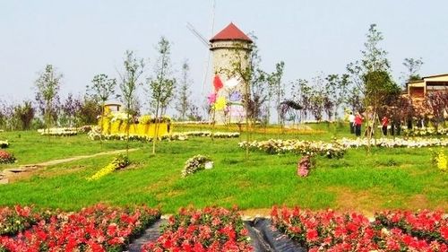 三圣花乡旅游区门票,成都三圣花乡旅游区攻略/地址