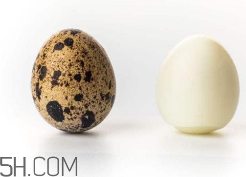 鹌鹑蛋一斤大约多少个 一斤鹌鹑蛋有多少个