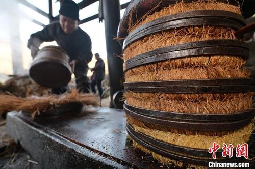 贵州从江:古法压榨茶油飘香
