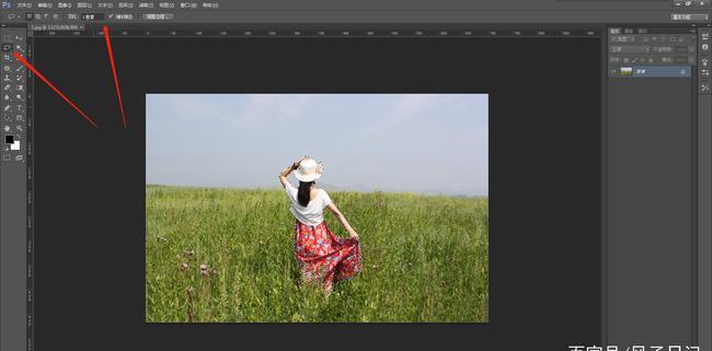 ps如何虚化背景突出前景以使图像前景清晰可见,而背景朦胧模糊