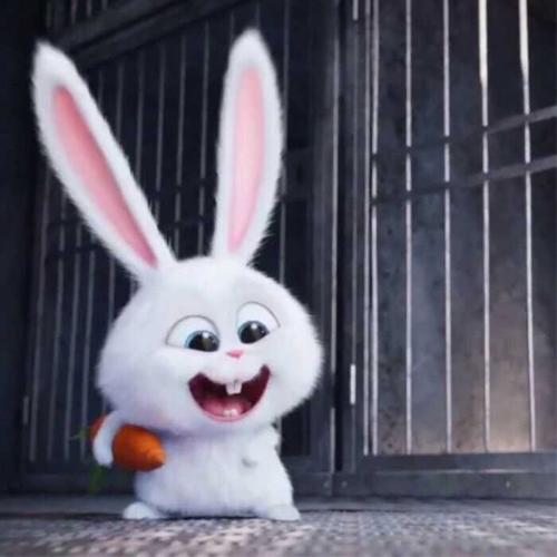 有爱宠大机密里面兔老大好看的头像吗?