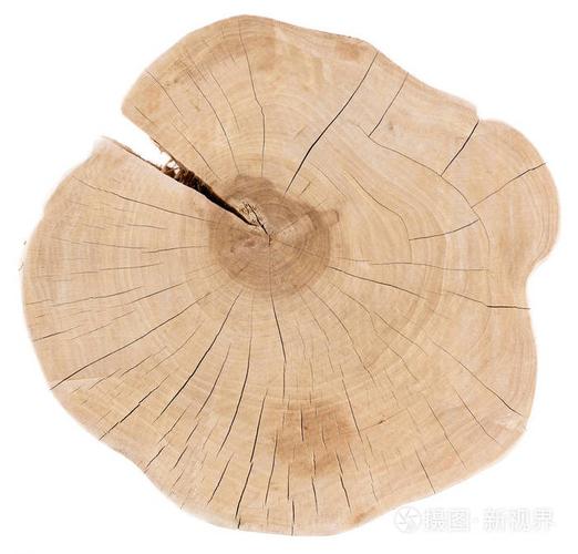 圆树片,年轮和裂缝隔离在白色的背戈隆孤立照片-正版商用图片168083