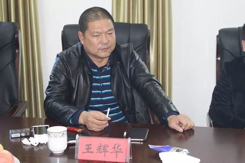 王辉华