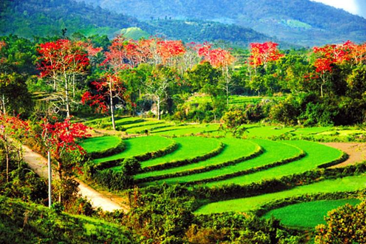 霸王岭旅游景点图片