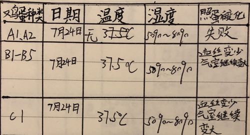 记小鸡孵化过程及成长