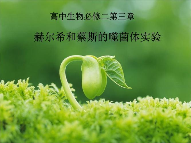 高中生物必修二第三章 赫尔希和蔡斯的噬菌体实验.ppt 16页