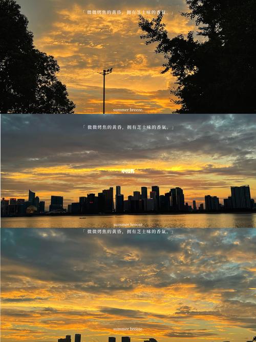 工作后的孤独感95你一个人欣赏过黄昏吗?_夕阳_工作