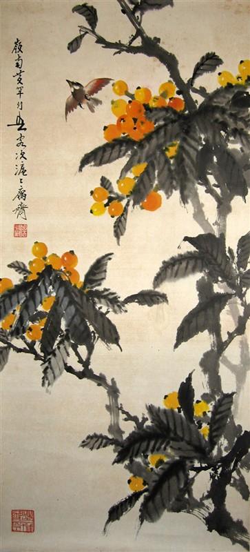 枇杷小鸟
