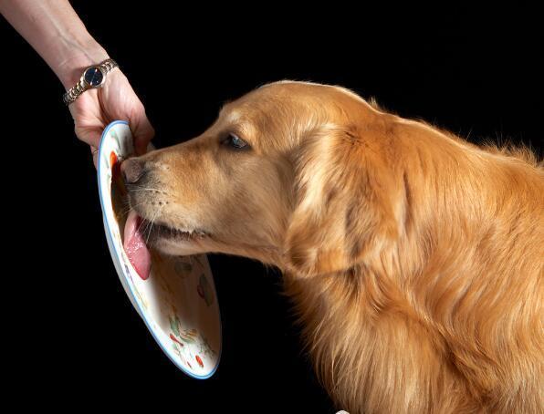 舔盘子这事算家务不?