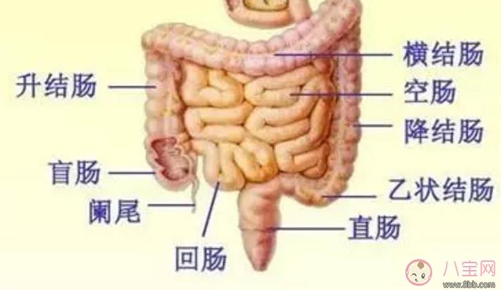 1-3岁宝宝肠胀气的症状有哪些 怎么缓解宝宝肠胀气 1-3岁宝宝知识大全