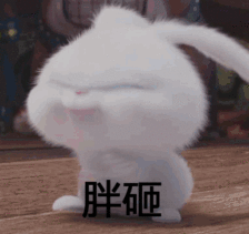 224_211gif 动态图 动图