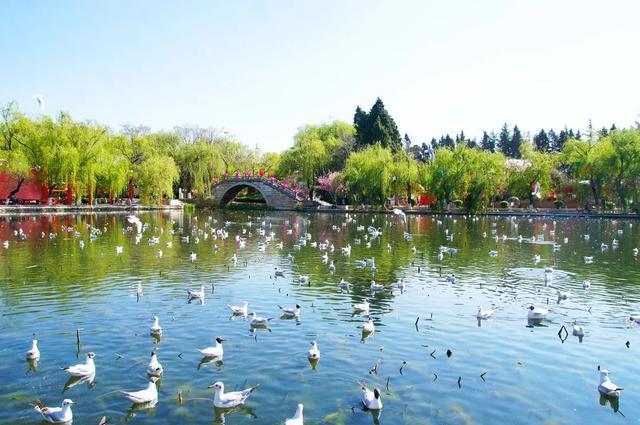 春城秀昆明520爱上一座城看一看它的前世今生