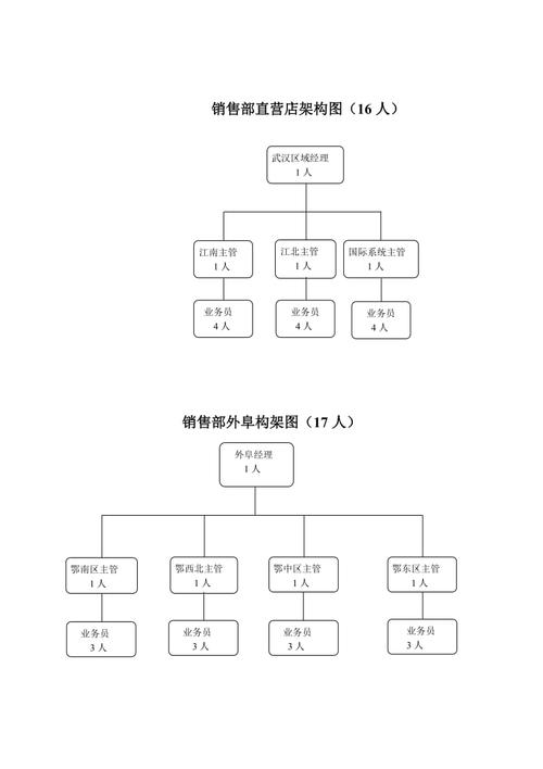 销售公司组织结构图